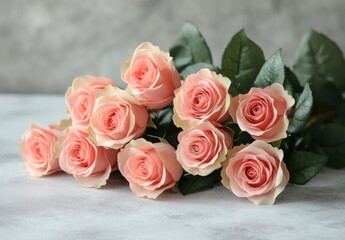 Fototapeta premium Beautiful Fresh Pink Roses Displayed Elegantly on a Soft Gray Background Perfect for Celebrations, Weddings, or Romantic Occasions with Lovely Green Leaves