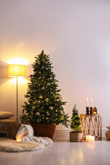 Decorated Christmas trees and other decor near light wall indoors. Festive interior design