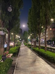 Obraz premium street at night