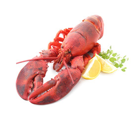 Tasty boiled lobster, lemon and microgreens isolated on white