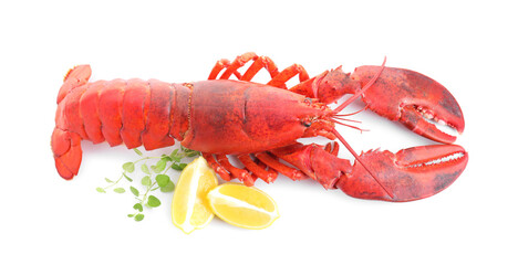 Tasty boiled lobster, lemon and microgreens isolated on white, above view