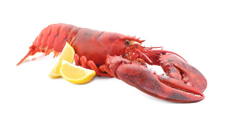 Tasty boiled lobster and lemon isolated on white