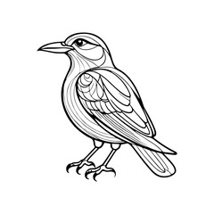 Line drawing of a bird.