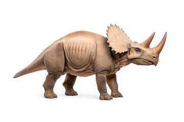 Fototapeta premium Dino triceratops isolated on white background