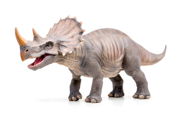 Dino triceratops isolated on white background
