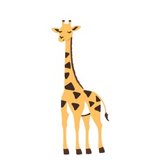 Fototapeta premium Giraffe isolated