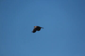 Fototapeta premium Saskatchewan Scenery Travelling Backroads