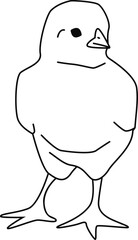 Outline image of standing little chick. Vector illustration with transparent background.