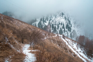 path in the mountains overlooking snowy mountains with spruce forest at the end of autumn