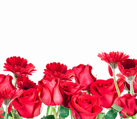 beautiful red Gerberas and Roses for Valentine's Day