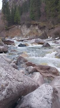 The crystal clear water of the mountain river running over stone boulders. Ala-Archar river, Tian-Shan, Kyrgyzstan. Vertical.