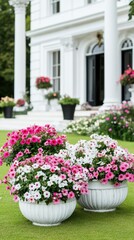 Fototapeta premium Beautiful flower pots with pink and white blooms positioned near a grand white mansion during sunny weather