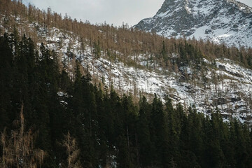 Winter landscape featuring snow-capped mountains and evergreen forests in tranquil nature scene