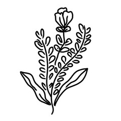 Hand Drawn Wildflower. Doodle Hand Drawn Wildflower Bouquet. Floral Wedding Invite. Whimsical Wedding. Doodle Hand Drawn flower Bouquet.