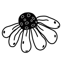 Hand Drawn Wildflower. Doodle Hand Drawn Wildflower Bouquet. Floral Wedding Invite. Whimsical Wedding. Doodle Hand Drawn flower Bouquet.