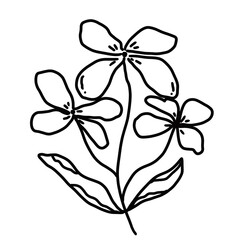 Fototapeta premium Hand Drawn Wildflower. Doodle Hand Drawn Wildflower Bouquet. Floral Wedding Invite. Whimsical Wedding. Doodle Hand Drawn flower Bouquet.