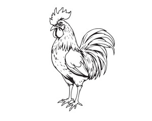 Line art illustration, black and white, of a cock in Isekai anime style with a blurred bokeh effect. Expressive composition, sharp subject focus, soft background. Clear background for easy coloring.