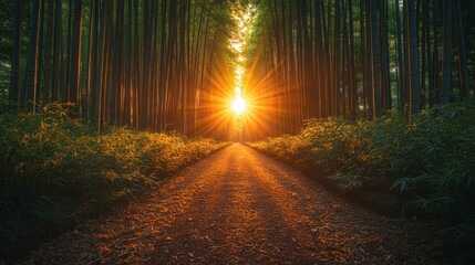 Naklejka premium Sun rays bursting through a bamboo forest path at sunset.