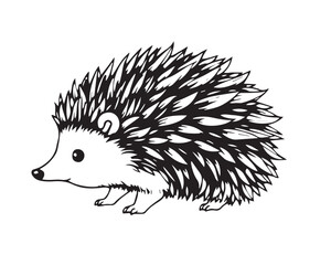 Line art illustration, black and white, simple background, easily colorable. Adorable hedgehog with charming features, volumetric lighting, light beams through dust or fog, Vector.