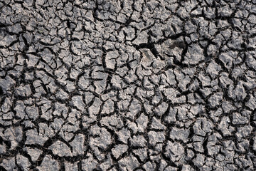 Cracked soil arid land with dry and cracked ground desert texture background, serious water shortages. Global warming concept. Close up.