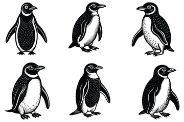 penguin vector silhouette design