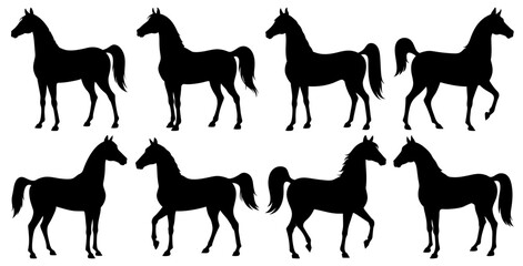 Arabian Horse Silhouette for Ramadan and Eid Design Icon Bundle