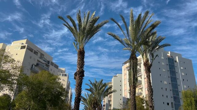Residential area in Israel. New buildings, cozy neighborhoods, palm trees and white apartment buildings, residential real estate