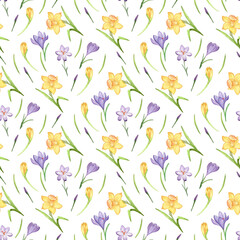 Seamless pattern of spring flowers and leaves. Watercolor daffodils and crocuses. Hand painted, isolated on white background.
