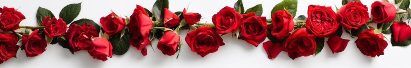 red roses.
