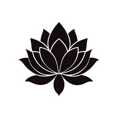 lotus flower vector  illustration