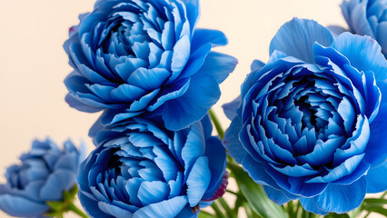 Obraz premium Close-up of vibrant blue roses, perfect for floral photography, nature themes, and creative visuals highlighting the beauty of unique flowers.