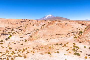 オリャグエ火山を望む荒涼な大地 - ボリビアからチリへ
