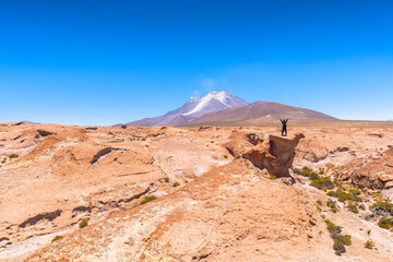 オリャグエ火山を望む荒涼な大地 - ボリビアからチリへ