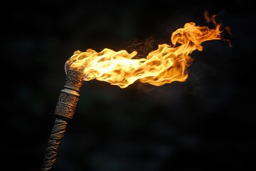 Dramatic Torchlight Illuminating Dark Night Depicting Adventure Ancient Times and Mystical Rituals with Vivid Flames and Intricate Design
