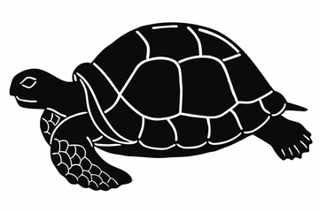 Animal set of Funny Peeking, Cute Tiny, Happy Waving, Adorable Little Frog 