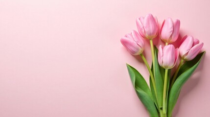 A Delicate Bouquet of Pink Tulips on a Soft Pink Background, Perfect for Springtime Celebrations and Greeting Cards