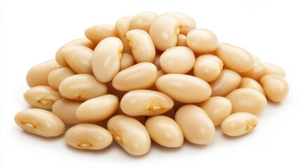 white beans isolated on white background
