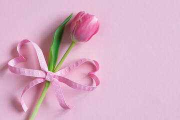 Pink tulip and ribbon bow with hearts on pink background. Beautiful holiday card, copy space