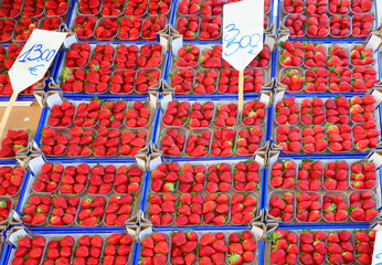 crates full of large, fragrant, ripe strawberries for sale in the local market with the price tag