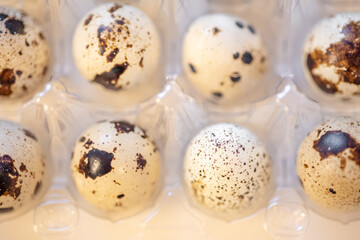 Quail eggs in container box