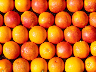 Background of large ripe orange oranges freshly picked from the citrus grove ready for sale