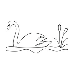 Elegant Swan Gracefully Swimming in Calm Water Near Reeds