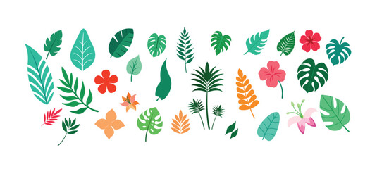 Tropical Areca Leaves Vector Set - Exotic Greenery Design for Nature Lovers