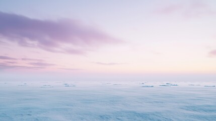 Obraz premium Serene Ambient Landscape with Ice Haze and Soft Pink Horizon