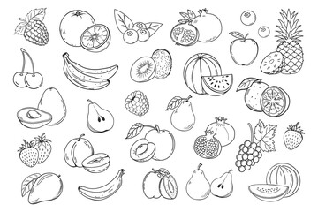 Sketch fruits and berries icons set. Collection of hand drawn farm product for restaurant menu, market label. Mango, blueberry, pineapple, apple and etc