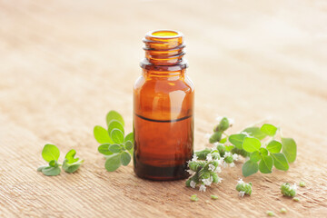 Oregano oil or extract  on wooden background with fresh leaves and flowers nearby, copy space, natural medicine,  natural hair and skin treatment, aromatherapy concept