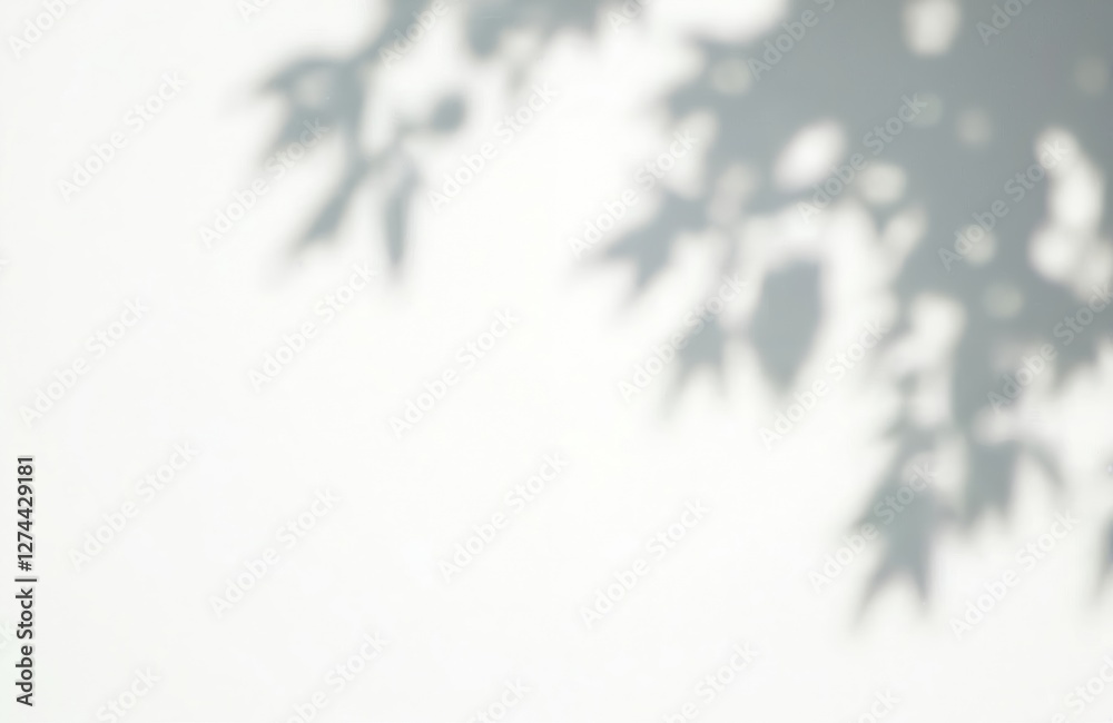 Poster leaf shadow with sunlight effect on white background. transparent overlay texture. minimalist design