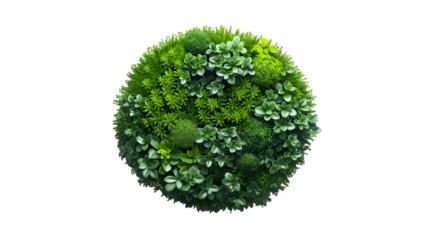 Green Foliage Bush Lush Top View, Fresh Leaves for Spring and Summer Themes, isolated on transparent background.
