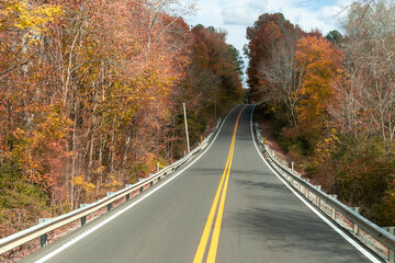 Obraz premium Road lined with trees leading to a distant bridge, creating a serene and picturesque scene.