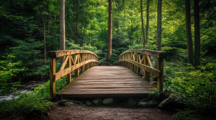 Fototapeta premium Wooden Bridge in Lush Green Forest
